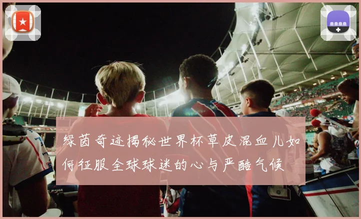 绿茵奇迹揭秘世界杯草皮混血儿如何征服全球球迷的心与严酷气候